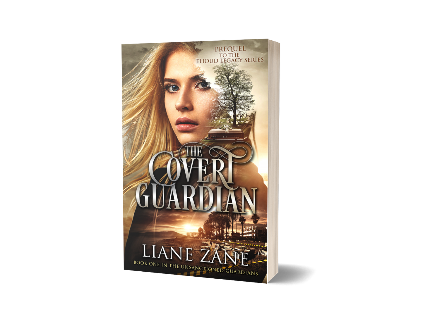 The Covert Guardian (The Unsanctioned Guardians Book 1) - Liane Zane Bookstore -