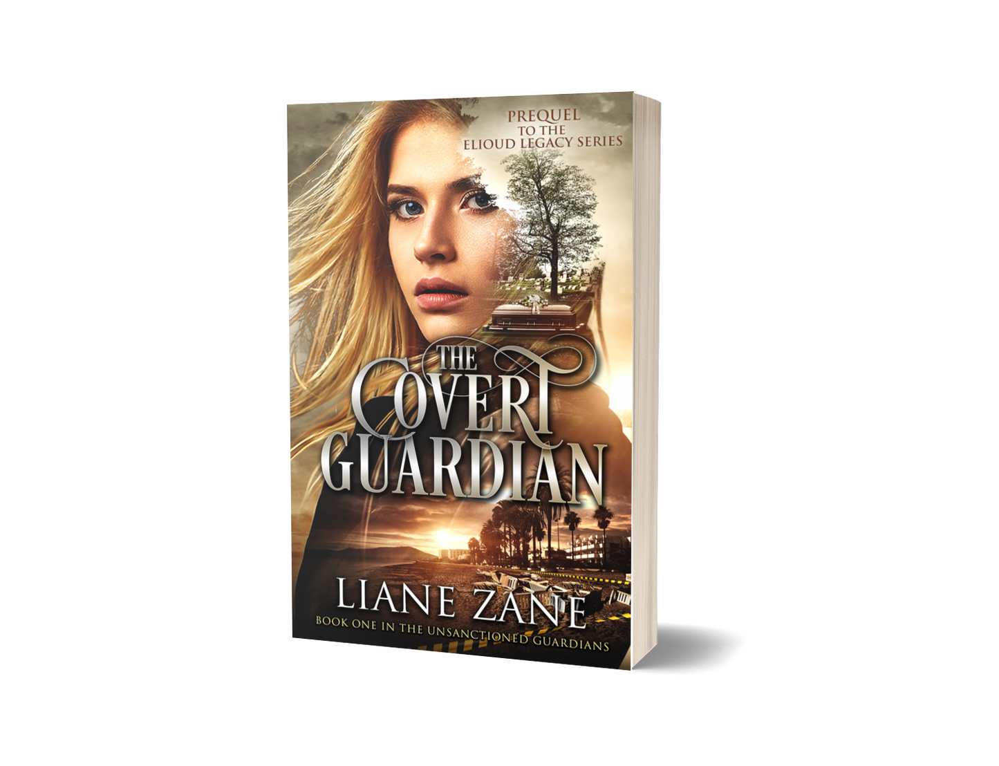 The Covert Guardian (The Unsanctioned Guardians Book 1)